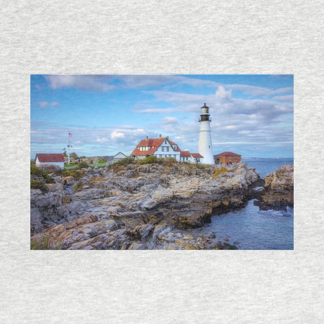 Portland Head Lighthouse Maine Rugged Landscape by Debra Martz